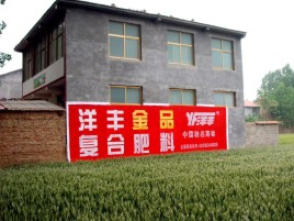 万州如何让墙体广告展现最大化效果