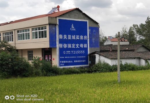 万州决定墙体广告价格的因素有哪些？